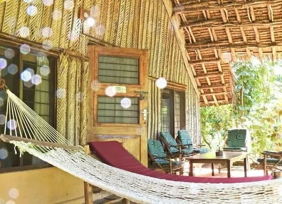 Standard Dağ Evi (Standard Bandas )