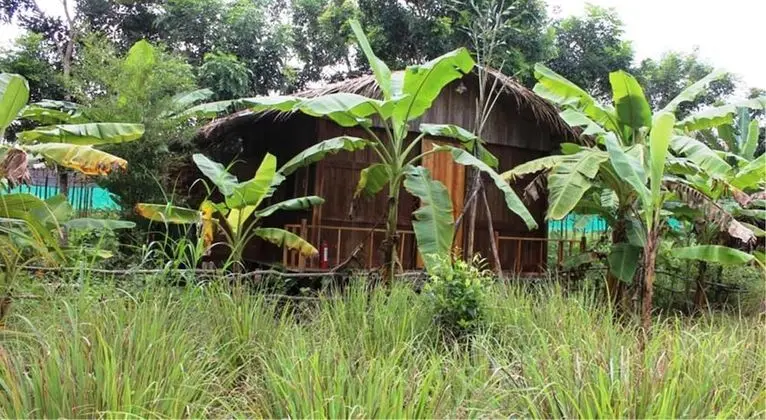 Banana Bungalow