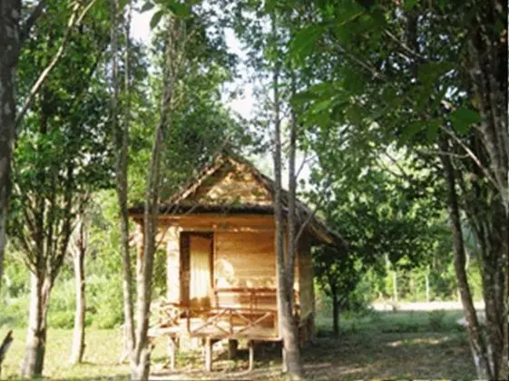 Banana Bungalow