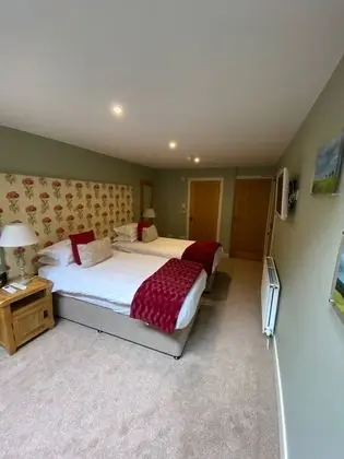 Superior Tek Büyük veya İki Ayrı Yataklı Oda (3)