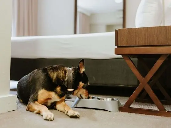 Oda