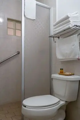 Standard Tek Büyük Yataklı Oda, 2 Çift Kişilik Yatak