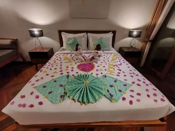 Luxury Villa, 1 Yatak Odası