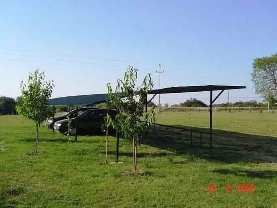 Apart Daire (Perci- cosy and comfortable - A1 Novi)