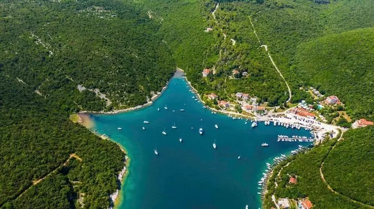 Apart Daire (Perci- cosy and comfortable - A1 Novi)