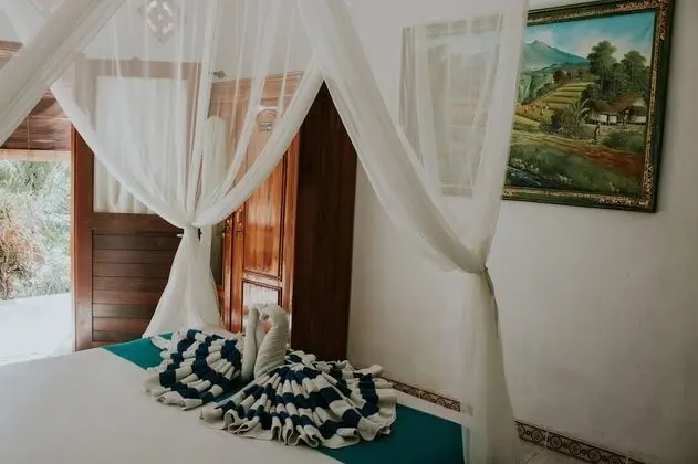 Deluxe Oda, 1 Çift Kişilik Yatak