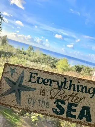 Apart Daire, 2 Yatak Odası, Okyanus Manzaralı (A)