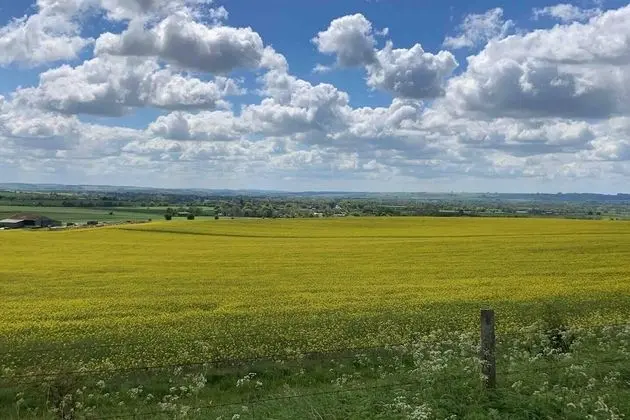 Kır Evi, Birden Çok Yatak
