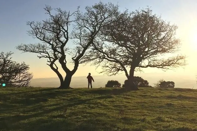 Kır Evi, Birden Çok Yatak