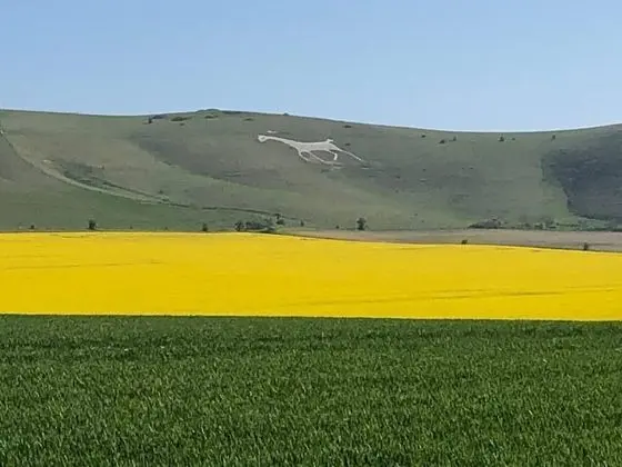 Kır Evi, Birden Çok Yatak