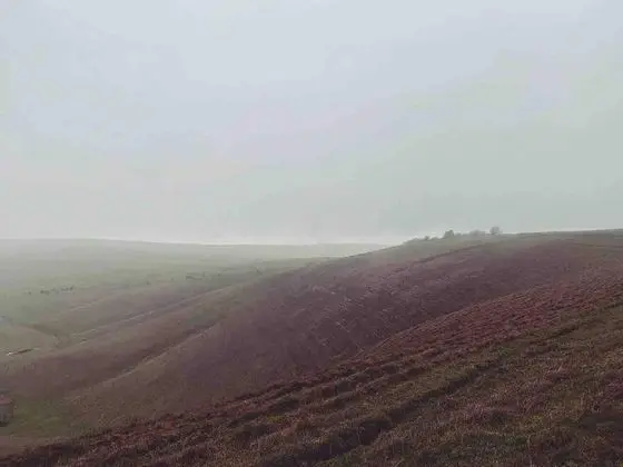 Kır Evi, Birden Çok Yatak