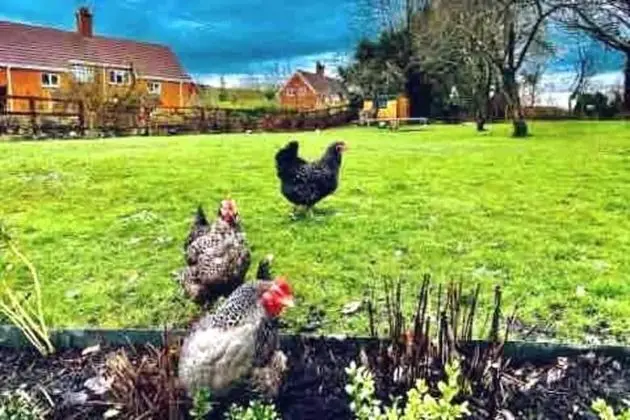 Kır Evi, Birden Çok Yatak