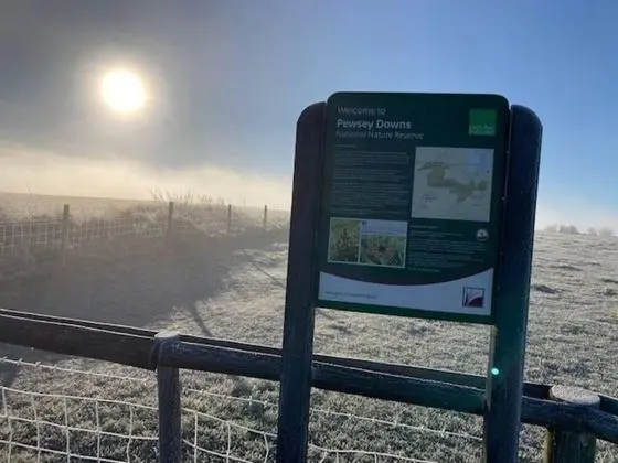 Kır Evi, Birden Çok Yatak