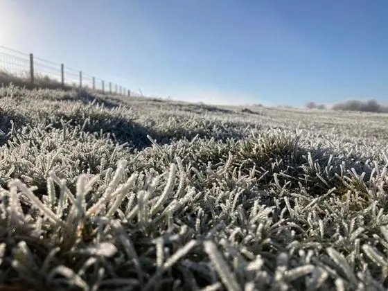 Kır Evi, Birden Çok Yatak