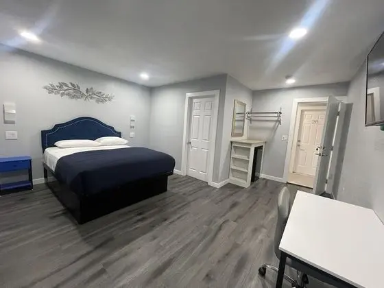 Luxury Tek Kişilik Oda