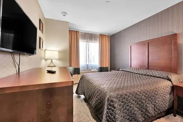 Deluxe Tek Kişilik Oda, Sigara İçilmez