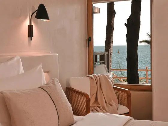 Premium Suite Oda