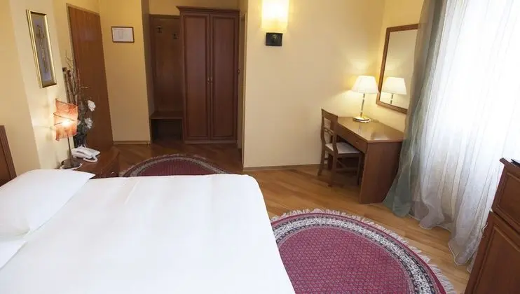 Superior Tek Büyük Yataklı Oda