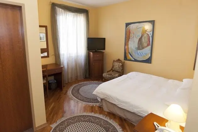 Superior Tek Büyük Yataklı Oda