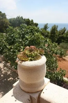 Comfort Apart Daire, 4 Yatak Odası, Kişiye Özel Havuzlu, Deniz Manzaralı