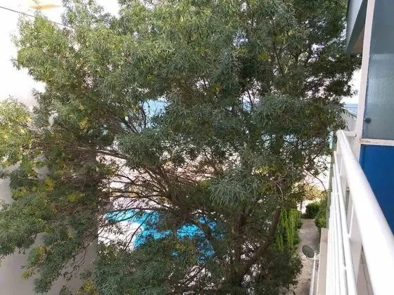 Standard Apart Daire, 1 Yatak Odası, Balkon, Park Manzaralı