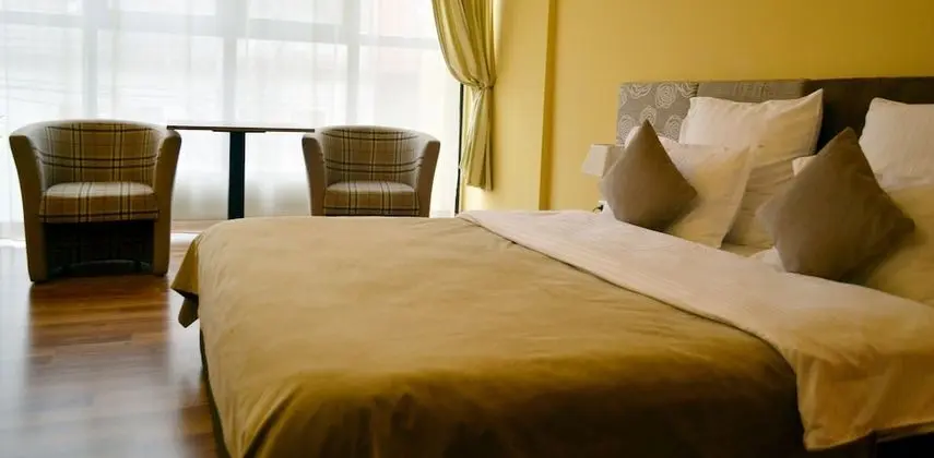 Deluxe Tek Büyük Yataklı Oda