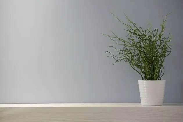 Tek Büyük Yataklı Oda, 2 Tek Kişilik Yatak