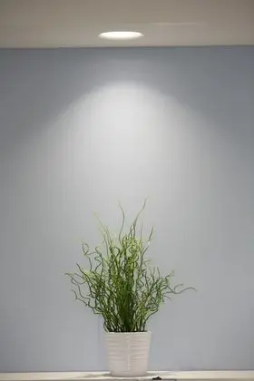 Tek Büyük Yataklı Oda, Veranda