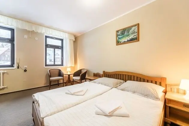 Classic Tek Büyük veya İki Ayrı Yataklı Oda