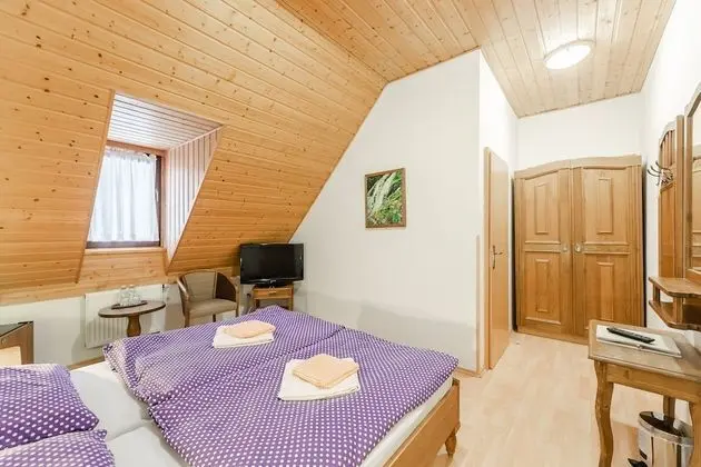 Classic Tek Büyük veya İki Ayrı Yataklı Oda