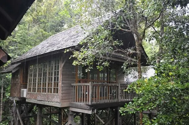 Tree House