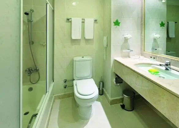Standard Tek Büyük veya İki Ayrı Yataklı Oda, Dağ Manzaralı
