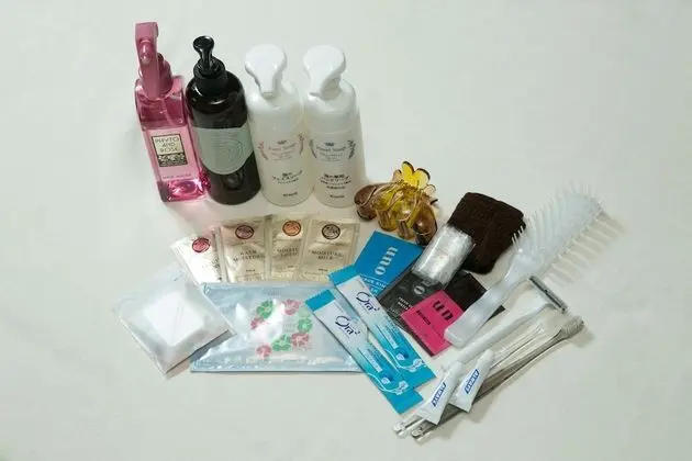 Tek Büyük Yataklı Oda (with Tatami Area, Short Stay)