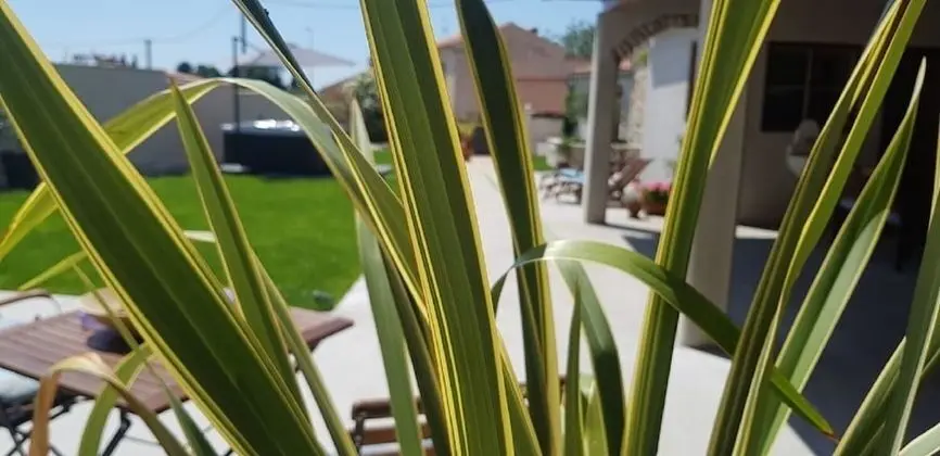 Apart Daire (Perstel - with parking - A3(2))