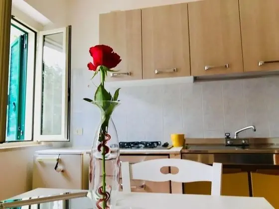 Standard Stüdyo, Bahçe Manzaralı