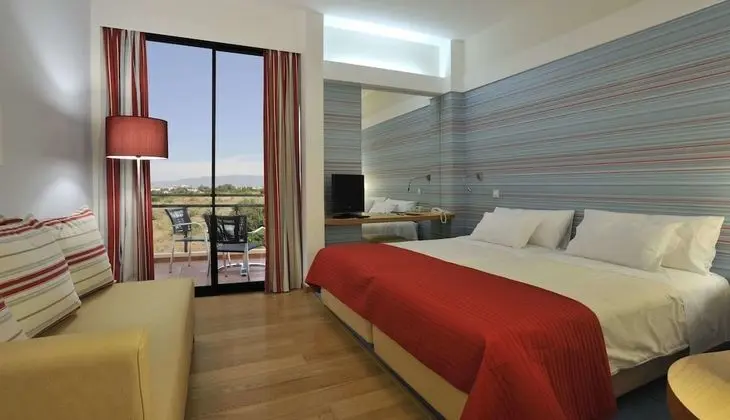 Deluxe Tek Büyük veya İki Ayrı Yataklı Oda (Land View)