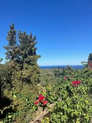 Villa, Birden Çok Yatak