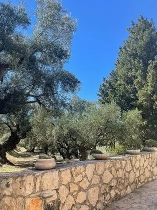 Villa, Birden Çok Yatak
