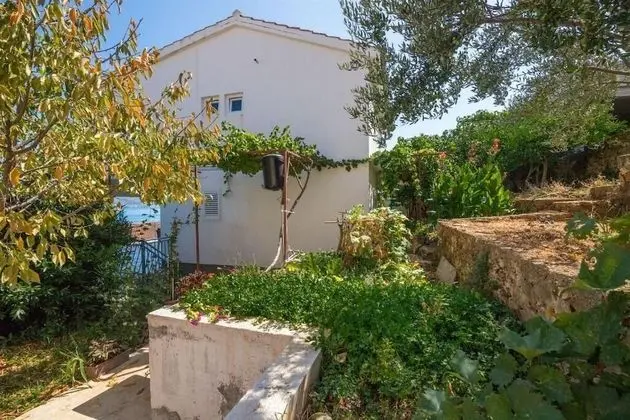 Apart Daire (Petar - great location close to the s)