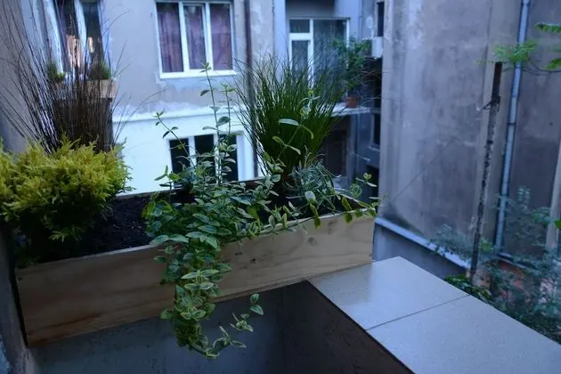 Standard Üç Kişilik Oda, 3 Tek Kişilik Yatak, Ortak Banyo, Avlu Manzaralı