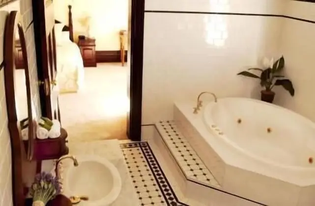 Deluxe Oda, Sigara İçilmez, Sıcak Su Küveti (Deluxe Spa Suite)