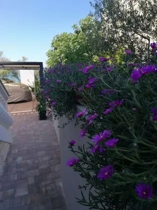 Apart Daire (Petin - 5m from the sea - A1(2+2))