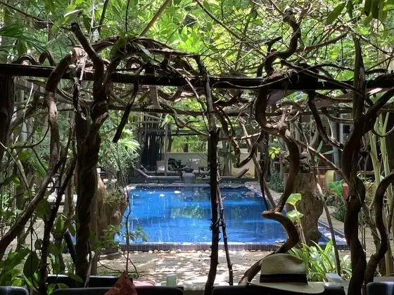 Honeymoon Oda, Havuz Manzaralı