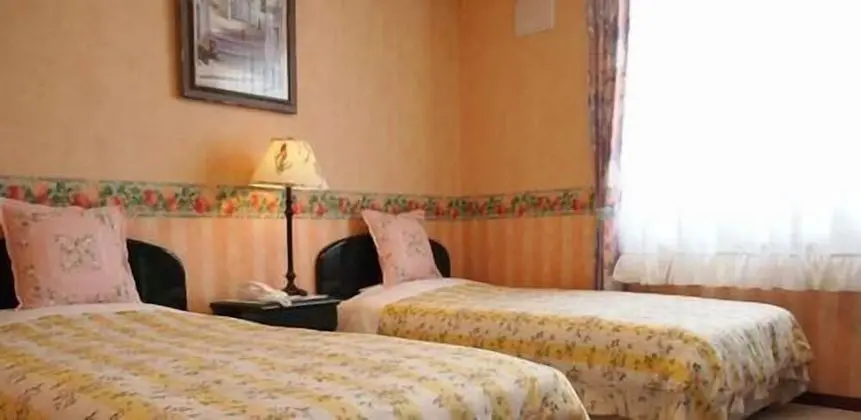 Standard İki Ayrı Yataklı Oda, 2 Tek Kişilik Yatak, Sigara İçilmez