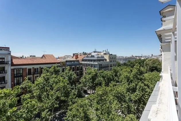 Superior Oda, Teras, Şehir Manzaralı