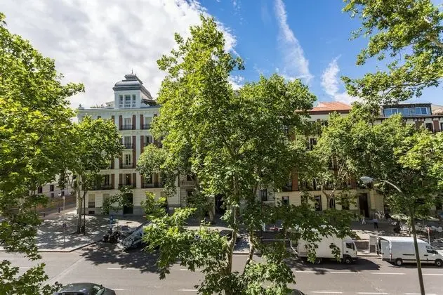 Tek Büyük Yataklı Oda, Şehir Manzaralı