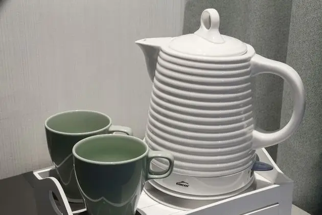 Superior Tek Büyük Yataklı Oda, Teras