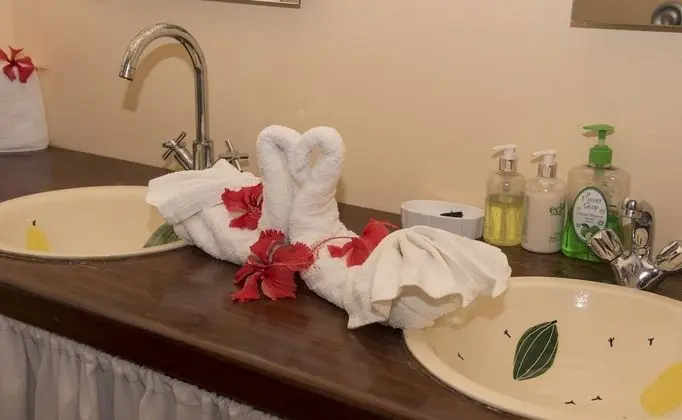 Honeymoon Tek Büyük Yataklı Oda, 1 En Büyük (King) Boy Yatak, Teras, Plaj Manzaralı (Grenadine)