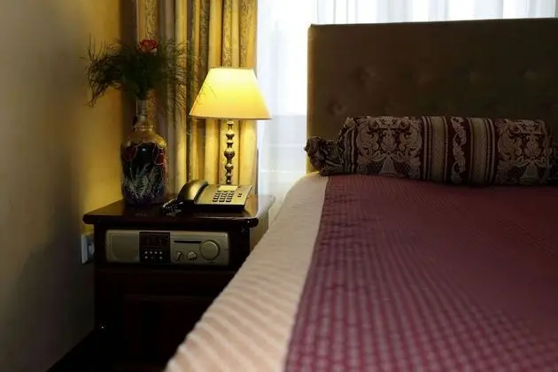 Business Tek Kişilik Oda, 1 Çift Kişilik Yatak, Şehir Manzaralı (Air conditioning)