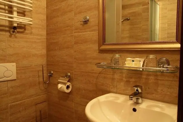 Business Tek Kişilik Oda, 1 Çift Kişilik Yatak, Şehir Manzaralı (Air conditioning)